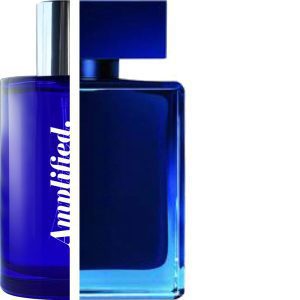 Narciso Rodriguez Bleu Noir Narciso Rodriguez Perfume Impresssion BLE02M at The Perfume Gallery