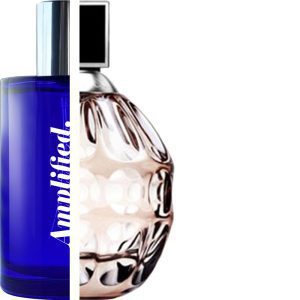 Jimmy Choo Jimmy Choo Perfume Impresssion JIM01F at The Perfume Gallery