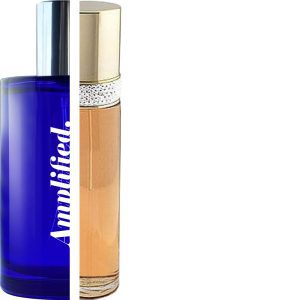 Elizabeth Taylor White Diamonds Perfume Impresssion WHI01F at The Perfume Gallery